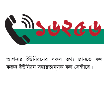 Local Government Helpline